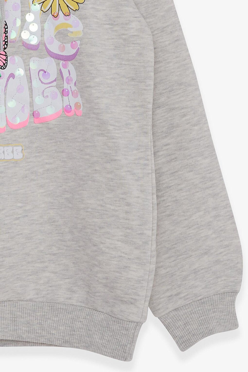 Girl's Sweatshirt Butterfly Printed Beige Melange (Age 7-9)