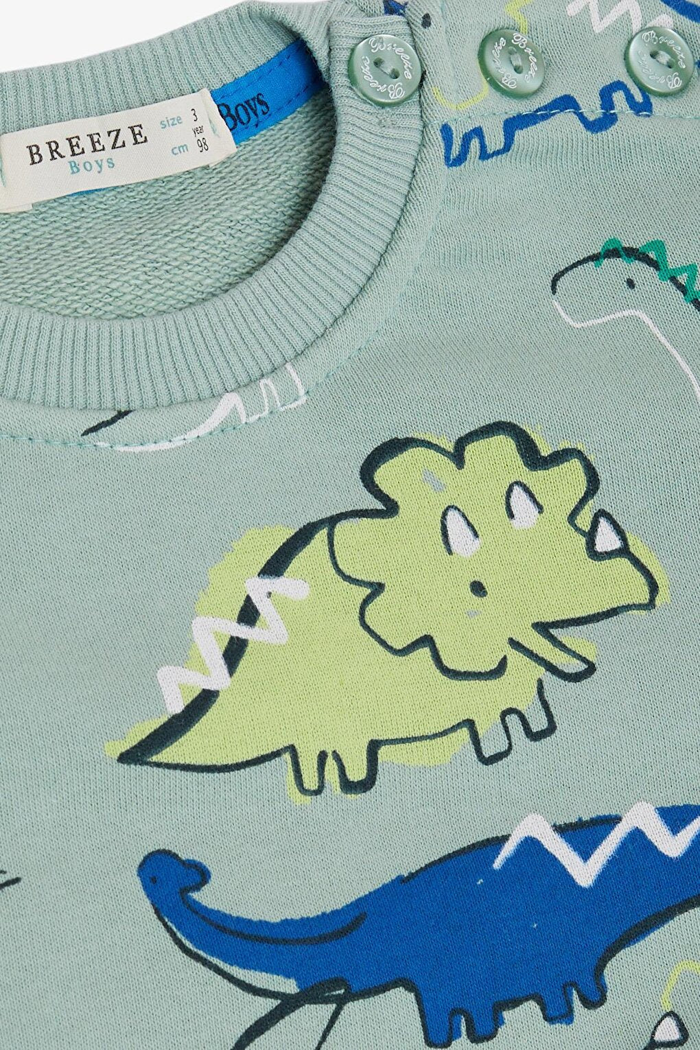 Boy's Tracksuit Set Mint Green with Dinosaur Pattern and Lacing Accessories (Age 2-6)