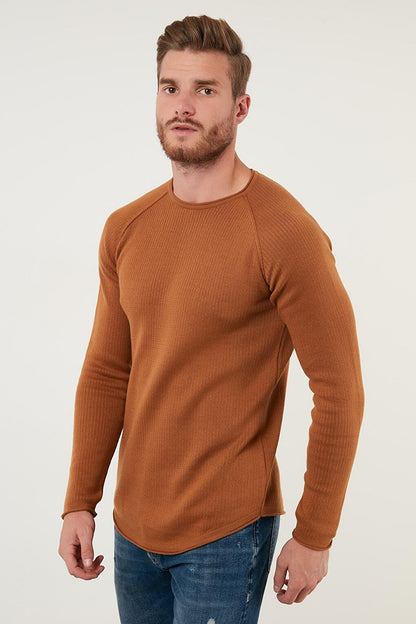 Regular Fit Crew Neck Cotton Sweater 6353420