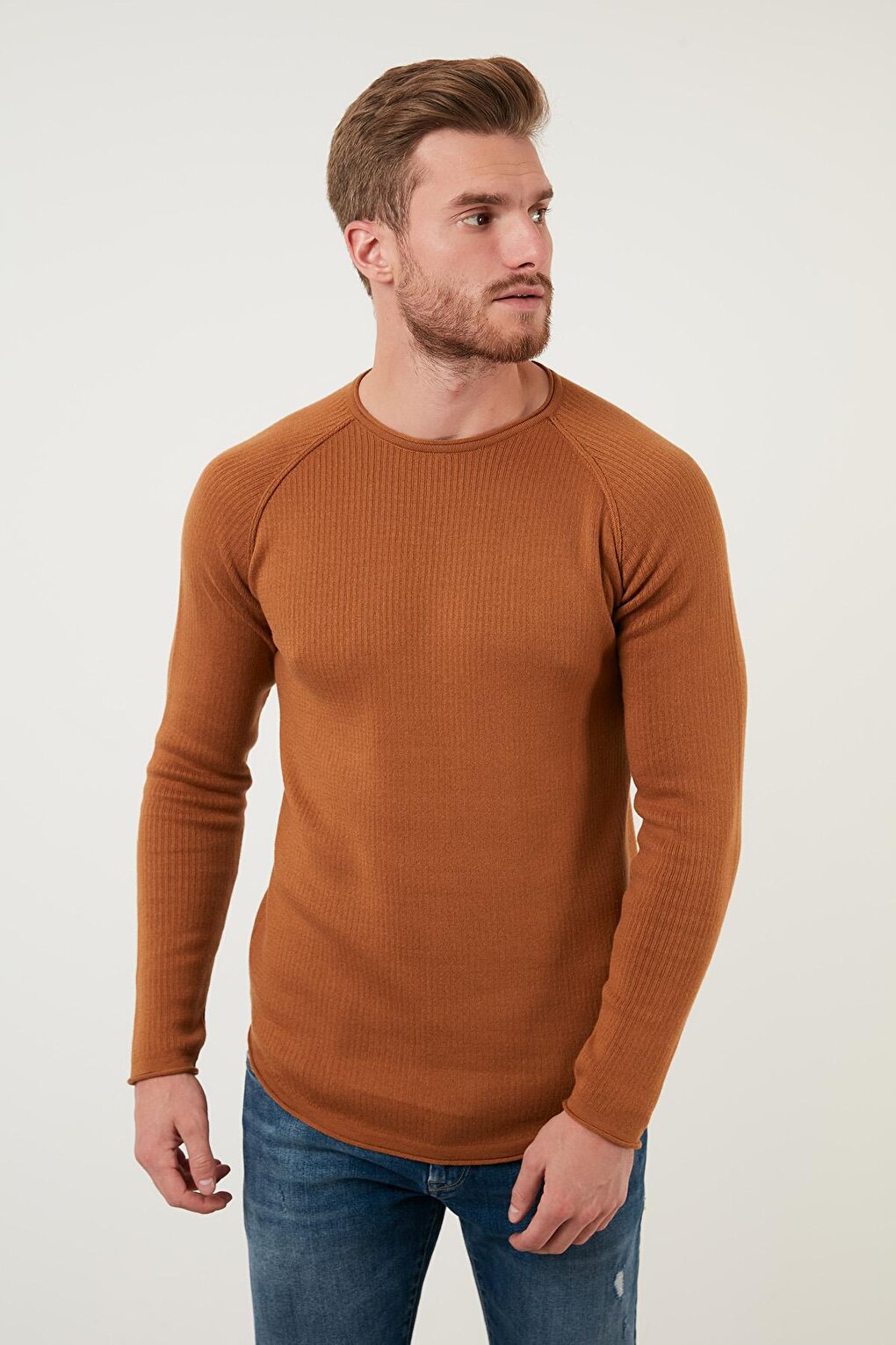 Regular Fit Crew Neck Cotton Sweater 6353420