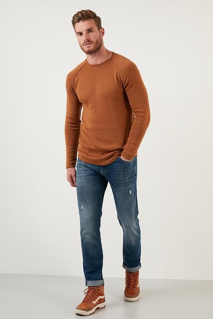 Regular Fit Crew Neck Cotton Sweater 6353420