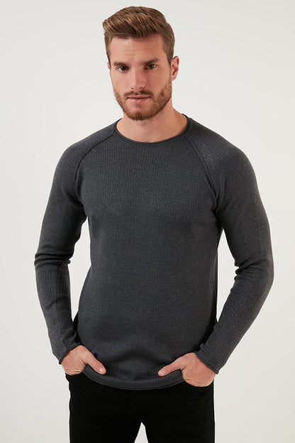 Regular Fit Crew Neck Cotton Sweater 6353420