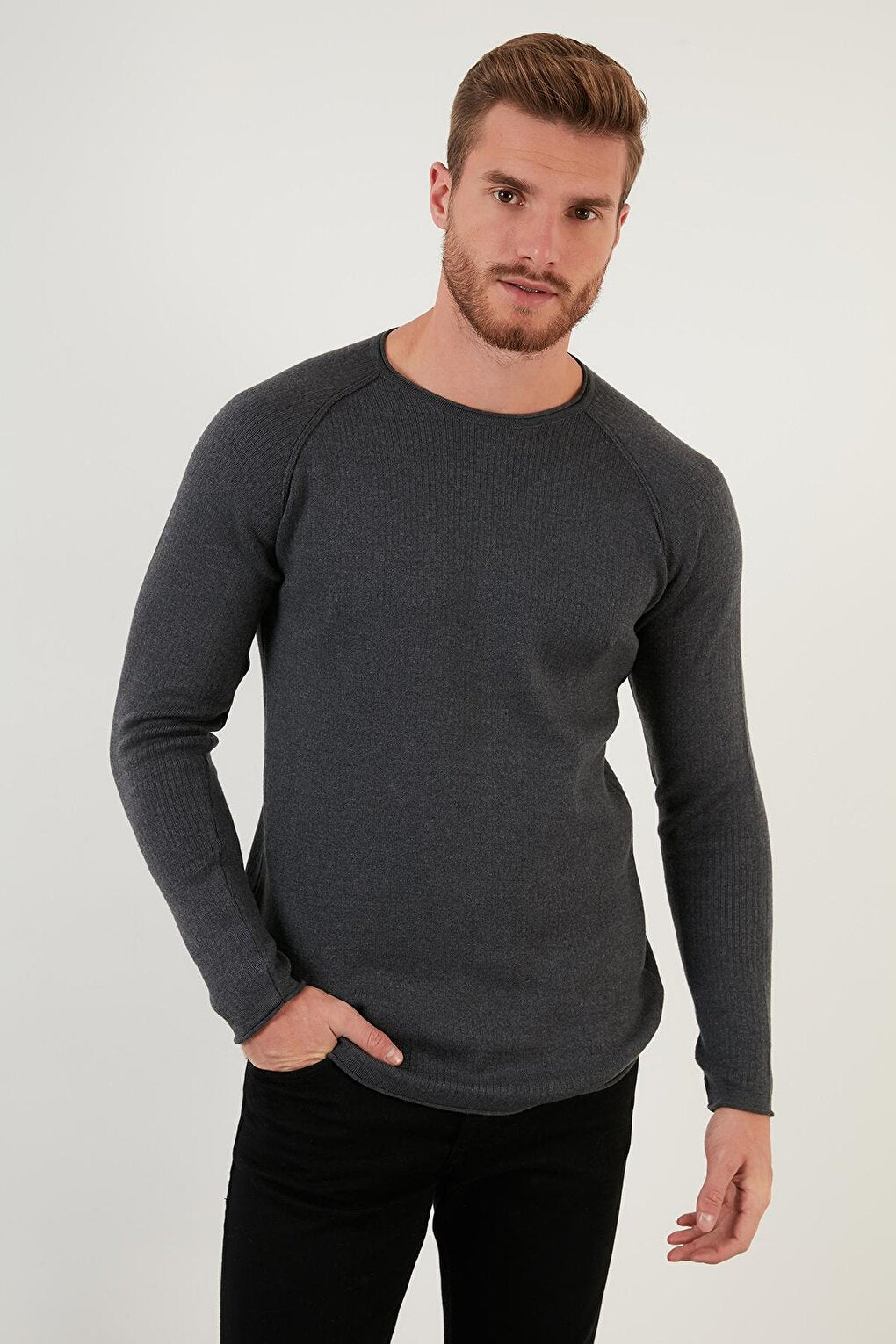 Regular Fit Crew Neck Cotton Sweater 6353420