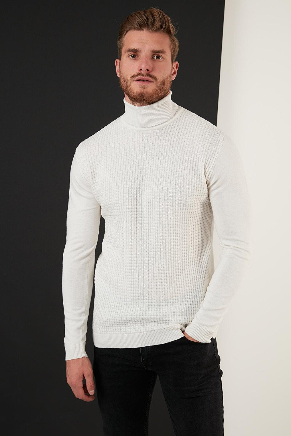 Regular Fit Turtleneck Cotton Knitwear Sweater 6353462