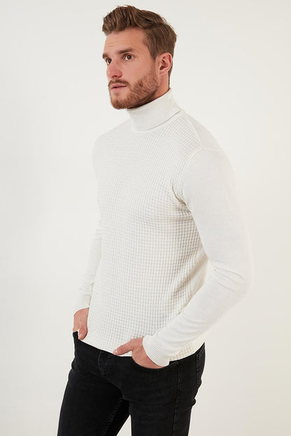 Regular Fit Turtleneck Cotton Knitwear Sweater 6353462