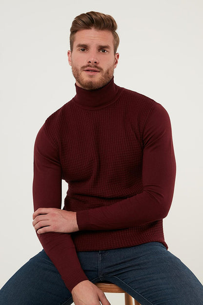 Regular Fit Turtleneck Cotton Knitwear Sweater 6353462