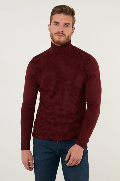 Regular Fit Turtleneck Cotton Knitwear Sweater 6353462