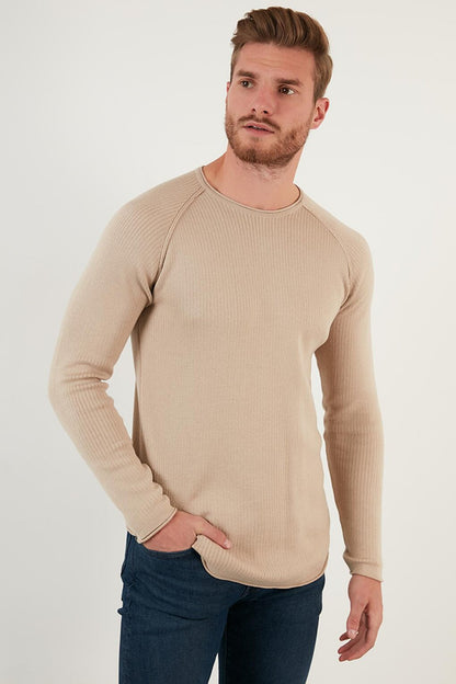 Regular Fit Crew Neck Cotton Sweater 6353420