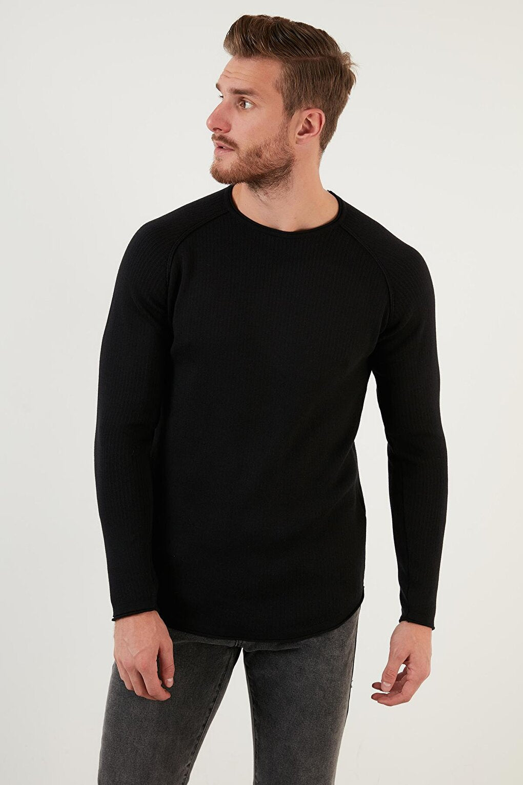 Regular Fit Crew Neck Cotton Sweater 6353420