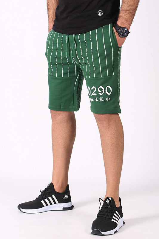 Striped Printed Daily Green Shorts 2909