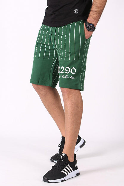 Striped Printed Daily Green Shorts 2909