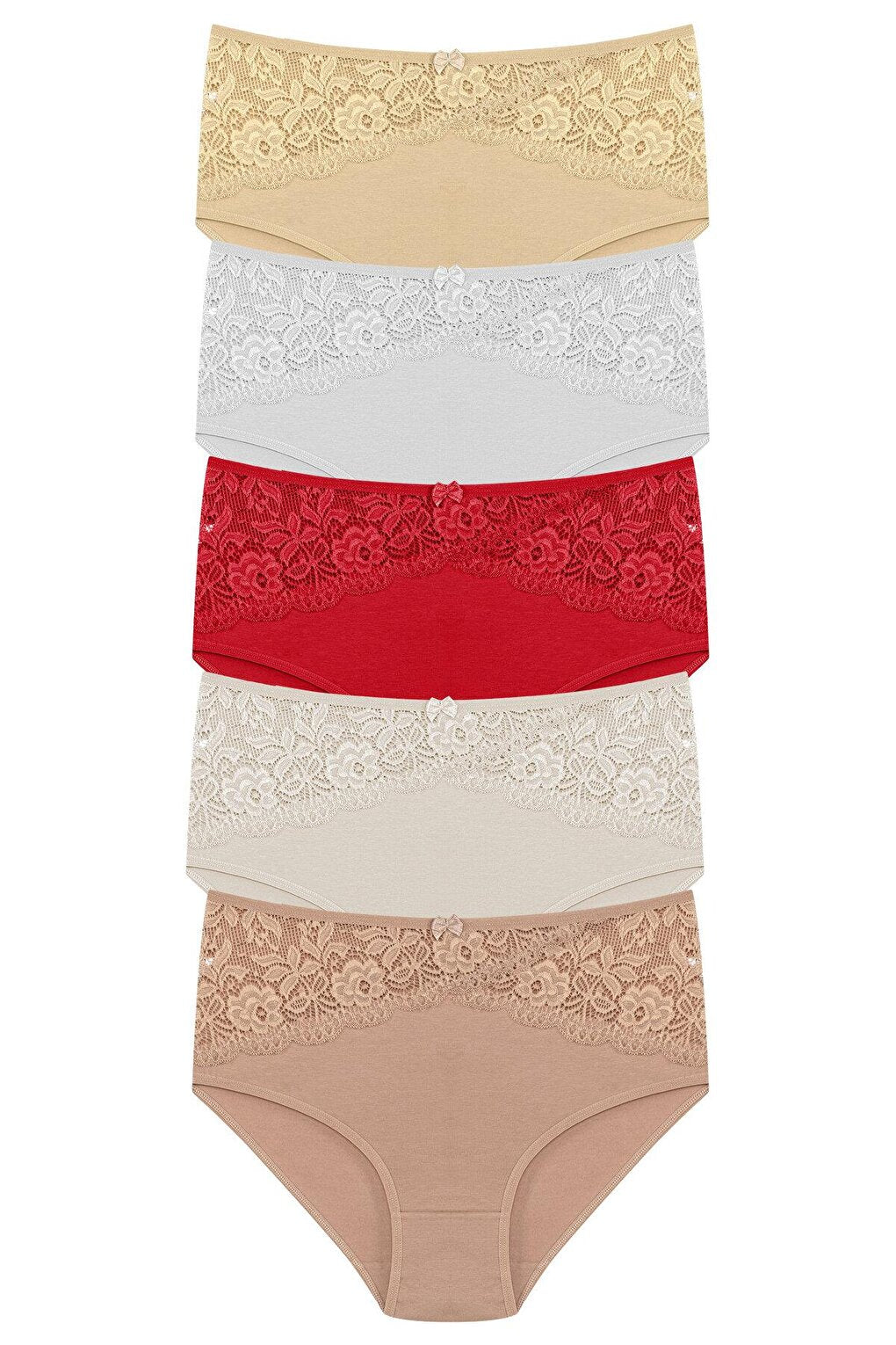 Cotton Inverted V Lace Front High Waist Plus Size Women's Panties 5-pack