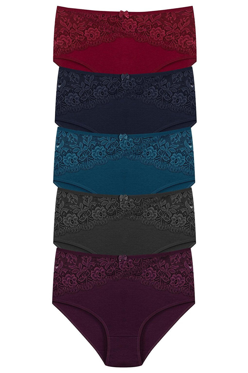 Cotton Inverted V Lace Front High Waist Plus Size Women's Panties 5-pack