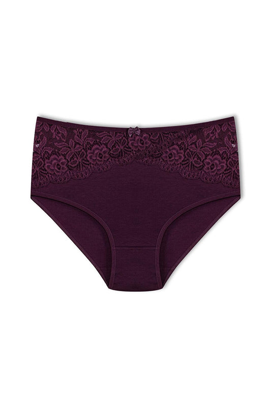 Cotton Inverted V Lace Front High Waist Plus Size Women's Panties