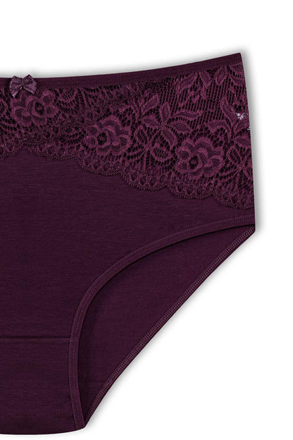 Cotton Inverted V Lace Front High Waist Plus Size Women's Panties