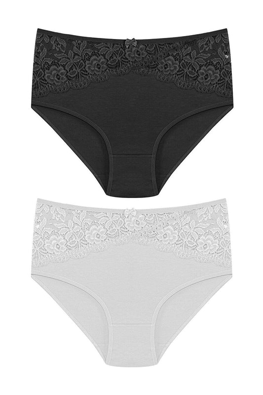 Cotton Inverted V Lace Front High Waist Plus Size Women's Panties 2-pack