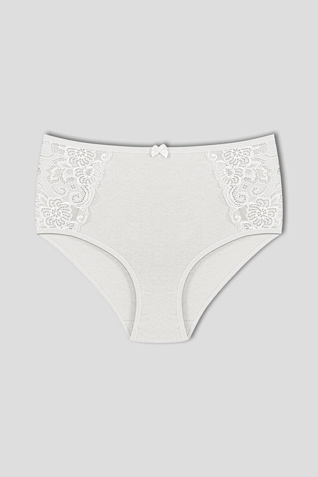 Cotton Lace Sides High Waist Plus Size Women's Panties 2-pack