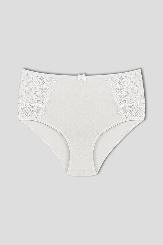 Cotton Lace Sides High Waist Plus Size Women's Panties