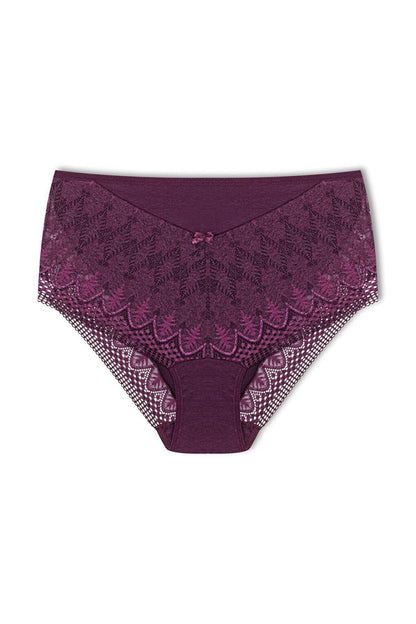 Plus Size Women's Panties with Lace Detail on Front and Leg 3-Piece