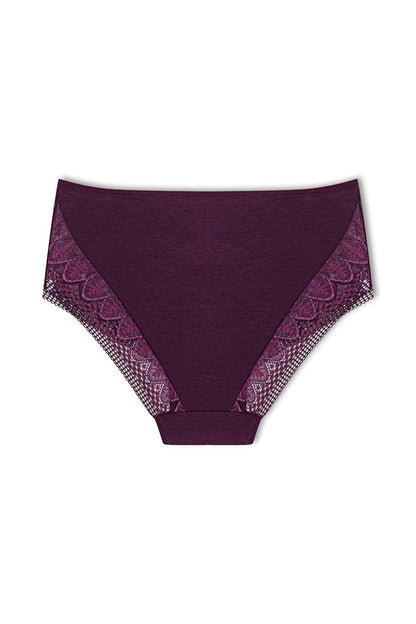 Plus Size Women's Panties with Lace Detail on Front and Leg 3-Piece