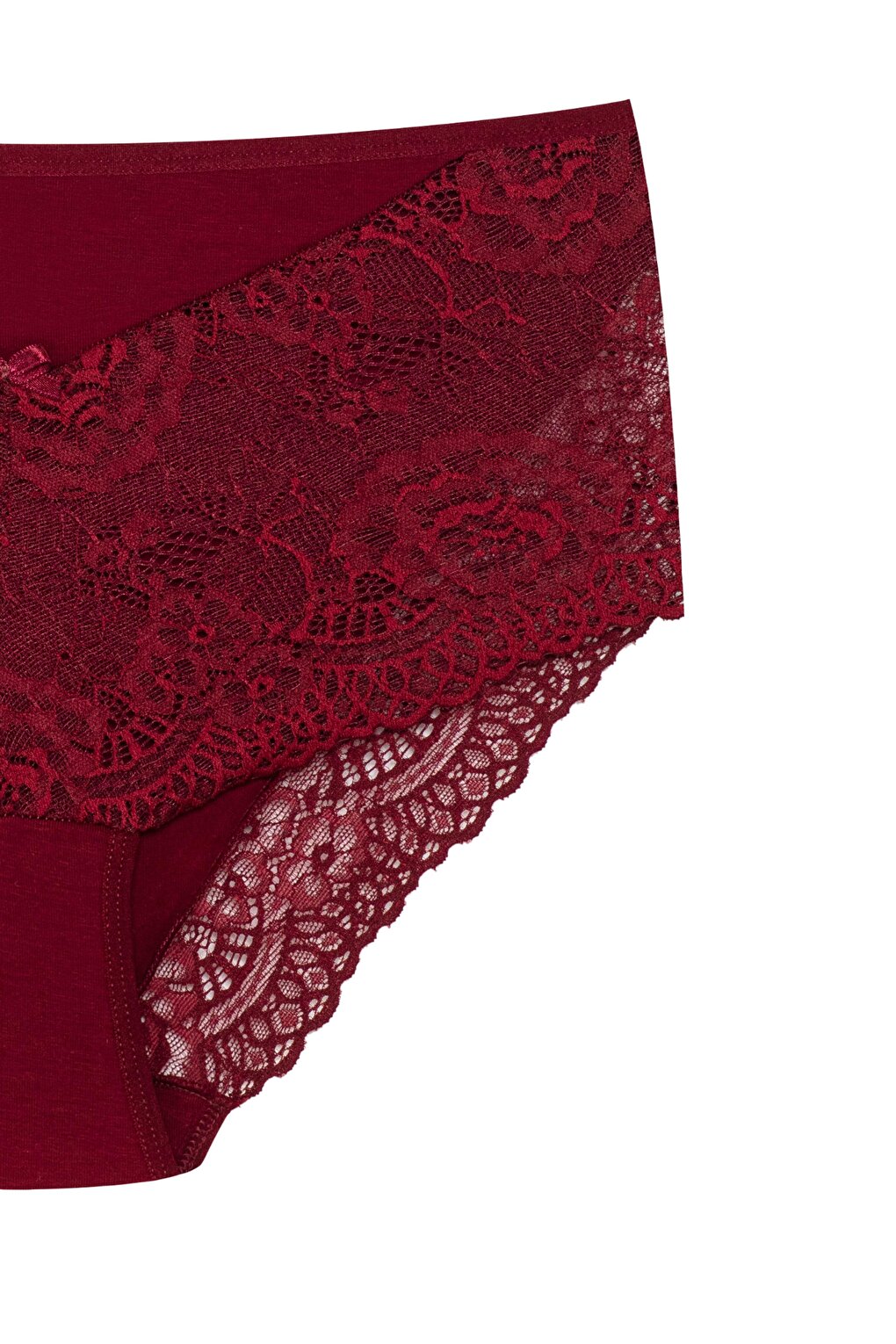 Plus Size Women's Panties with Lace Detail on Front and Leg 3-Piece