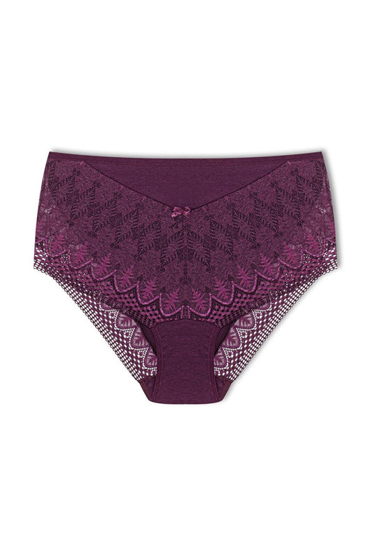 Plus Size Women's Panties with Lace Detail on Front and Leg