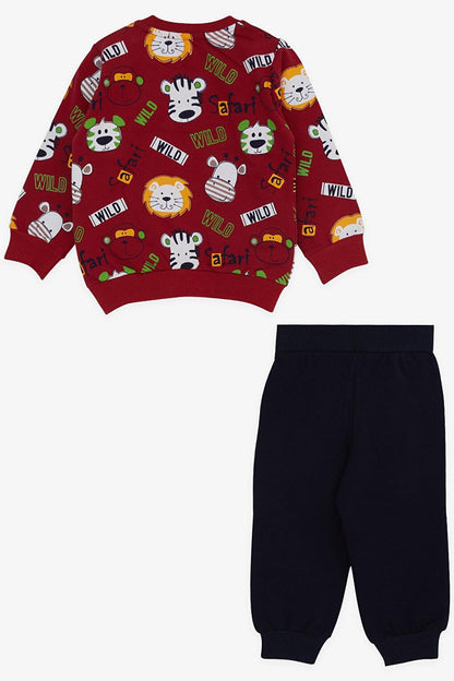 Baby Boy Tracksuit Set, Monkey Embroidered, Claret Red (Age 1-2)