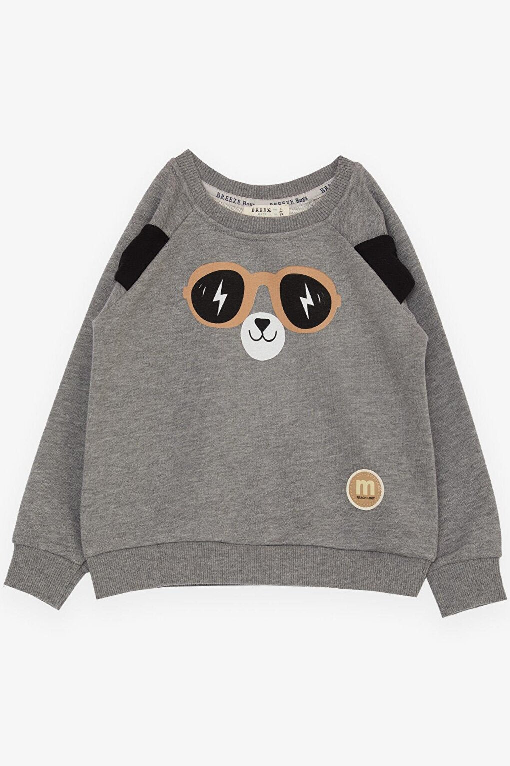 Boy's Sweatshirt Cute Teddy Bear Printed with Moving Ears Dark Gray Melange (Age 2-6)