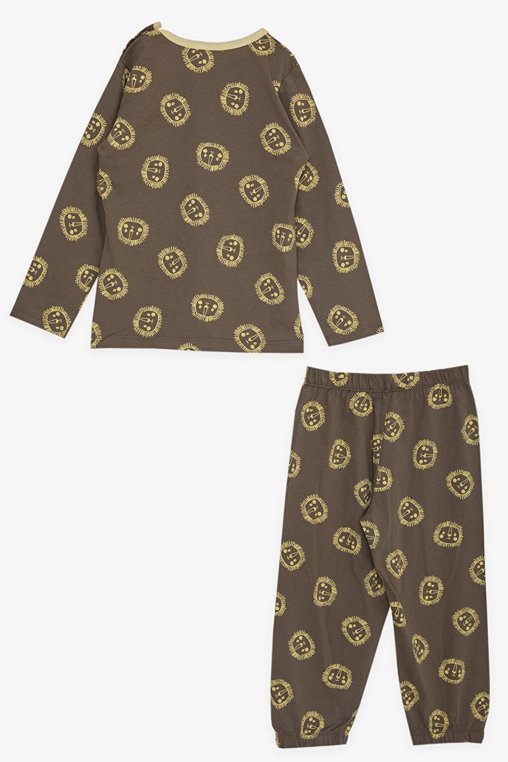 Boy's Pajama Set Cute Lion Patterned Mink (Age 1-4)