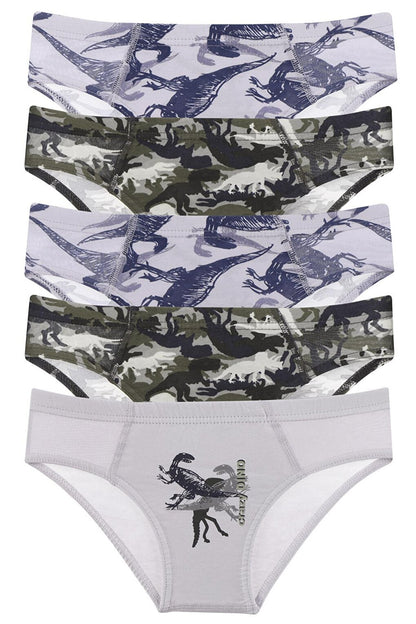 Boy's Panties 5 Pack