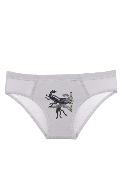 Boy's Panties 5 Pack