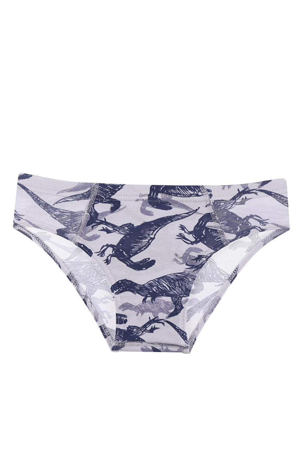 Boy's Panties 5 Pack