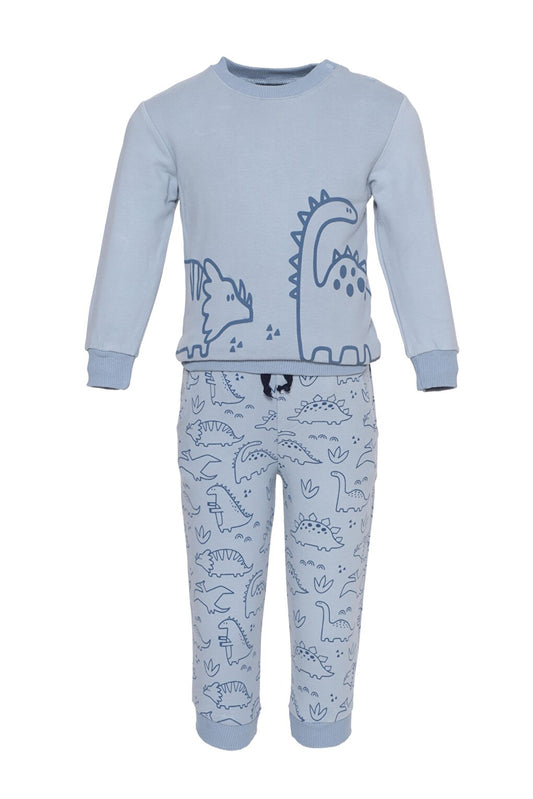 Crew Neck Printed Baby Boy Sweatshirt and Tracksuit Bottom, Pack of 2