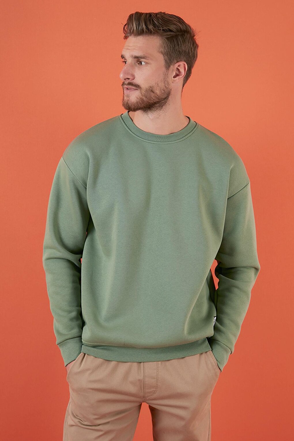 Regular Fit Crew Neck Cotton Soft Lined Sweatshirt 5905255