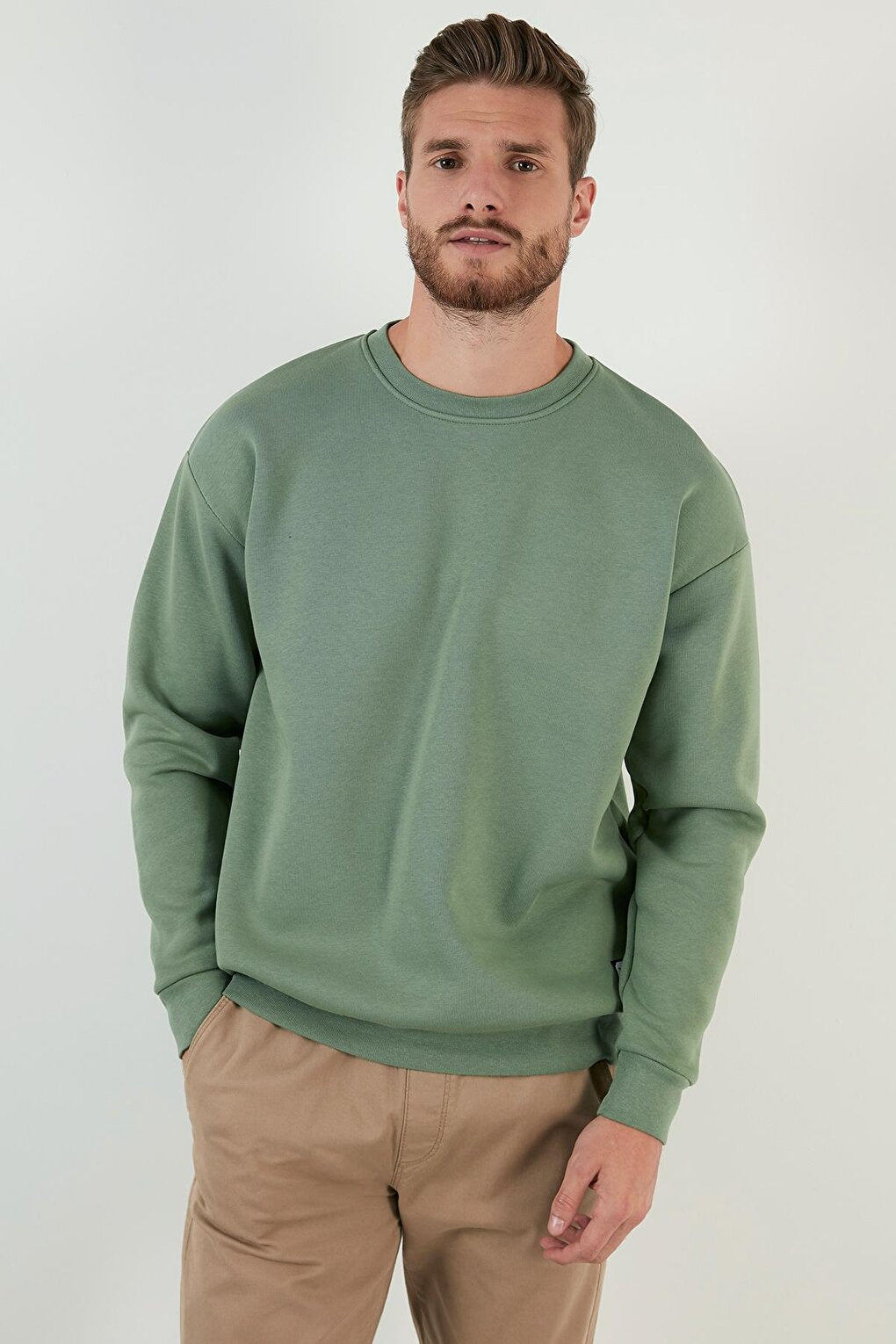 Regular Fit Crew Neck Cotton Soft Lined Sweatshirt 5905255