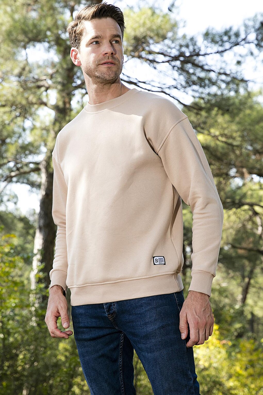 Regular Fit Crew Neck Cotton Soft Lined Sweatshirt 5905255