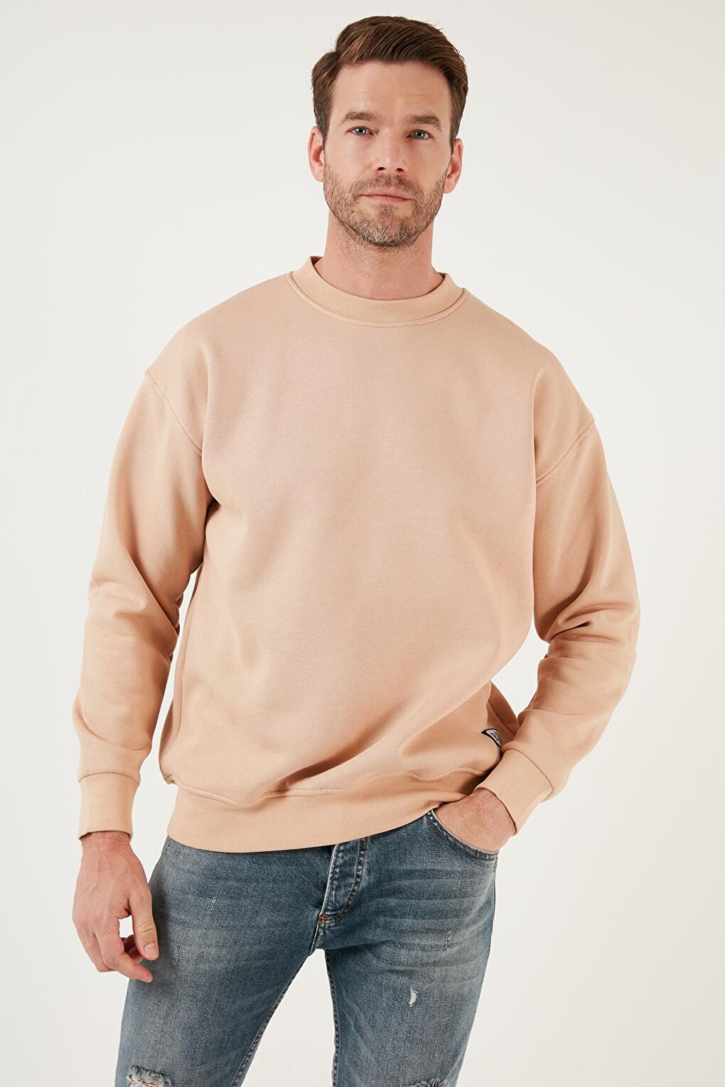 Regular Fit Crew Neck Cotton Soft Lined Sweatshirt 5905255