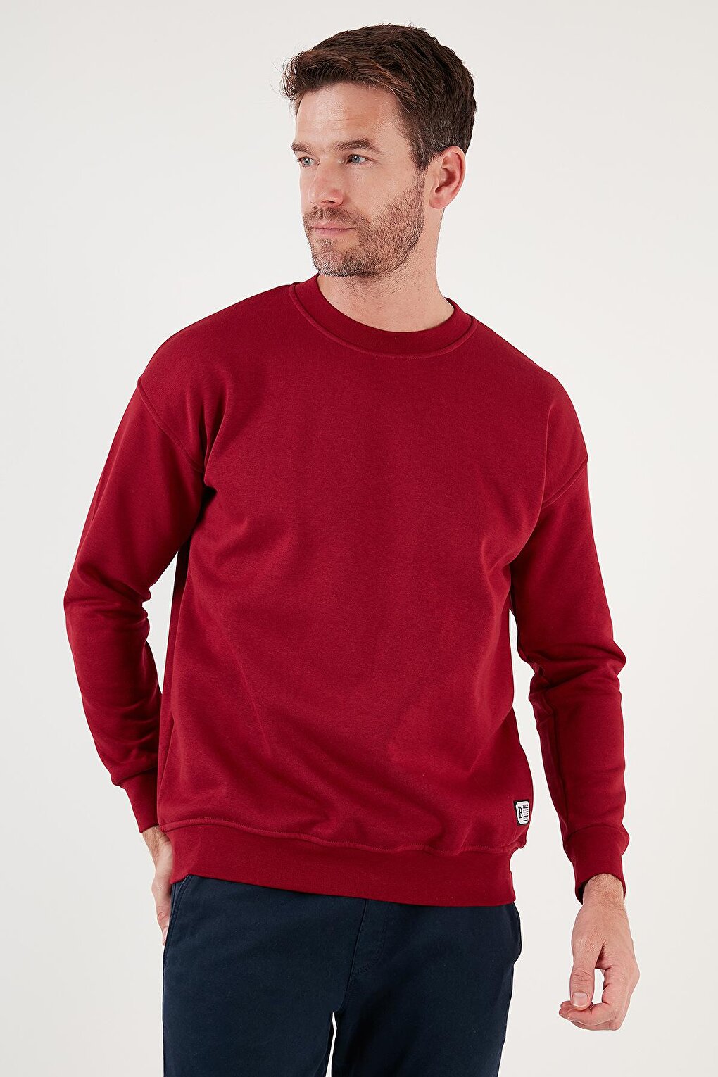 Regular Fit Crew Neck Cotton Soft Lined Sweatshirt 5905255