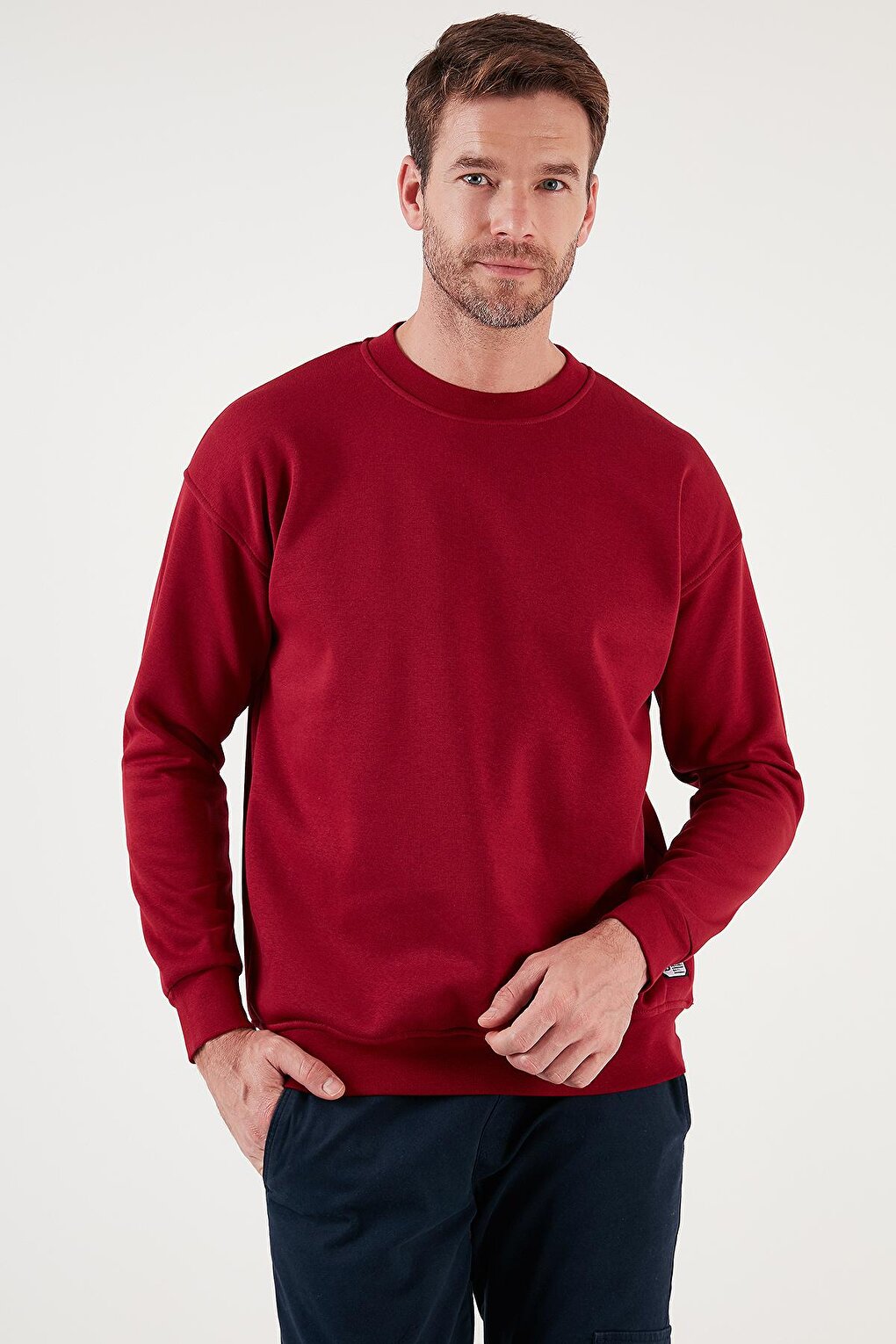 Regular Fit Crew Neck Cotton Soft Lined Sweatshirt 5905255