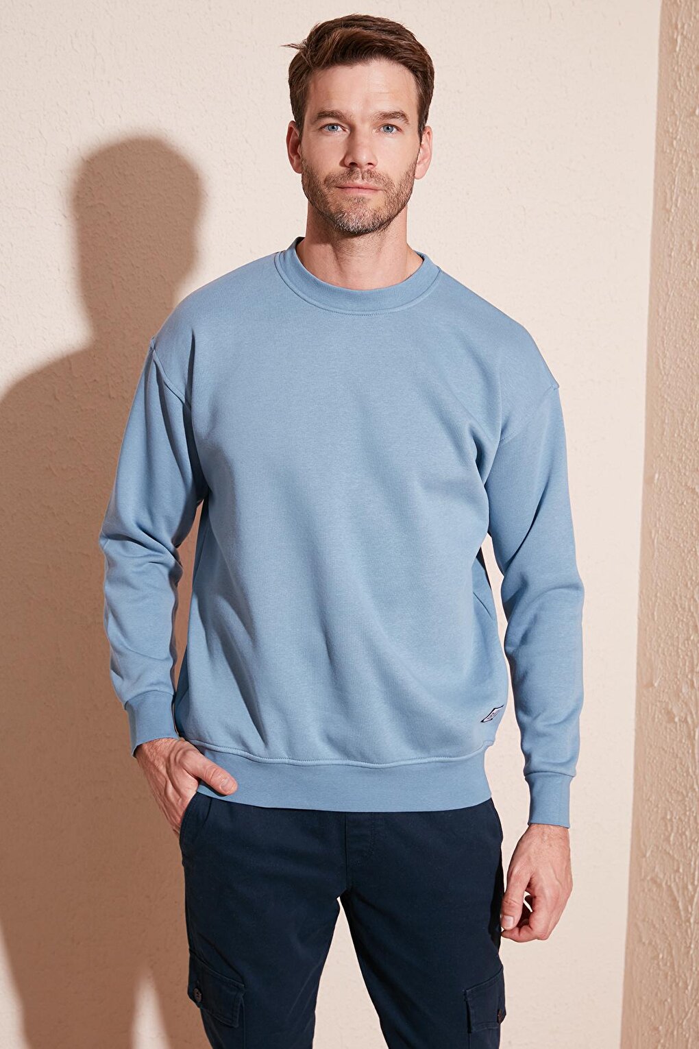 Regular Fit Crew Neck Cotton Soft Lined Sweatshirt 5905255