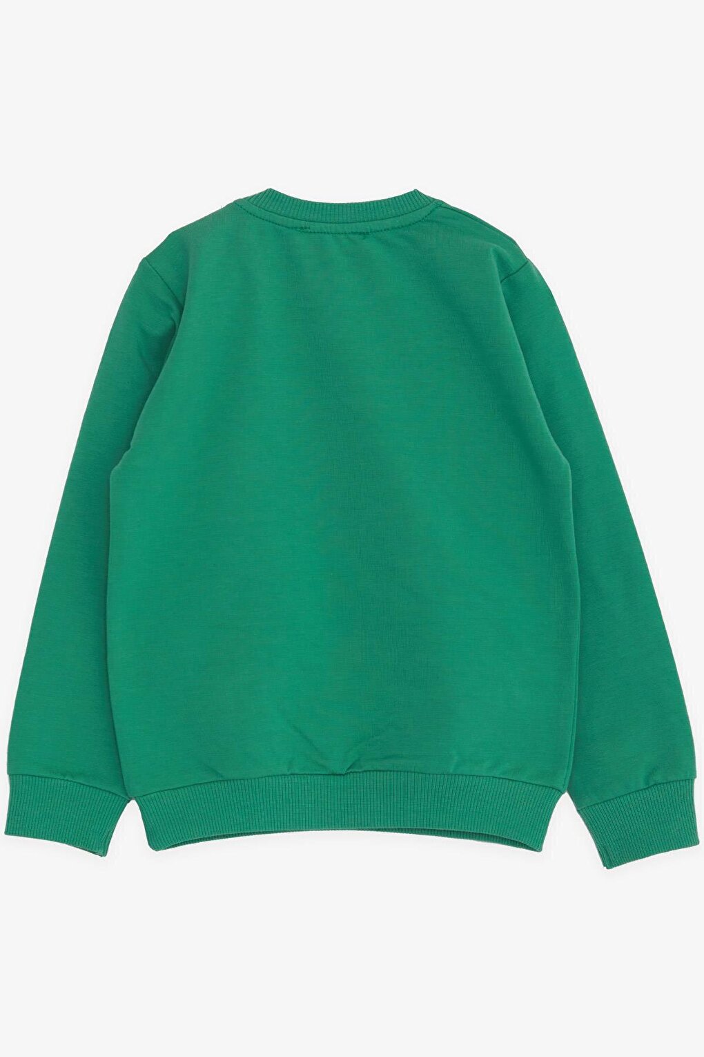 Boy's Sweatshirt Painter Teddy Bear Printed Green (Age 1-2)