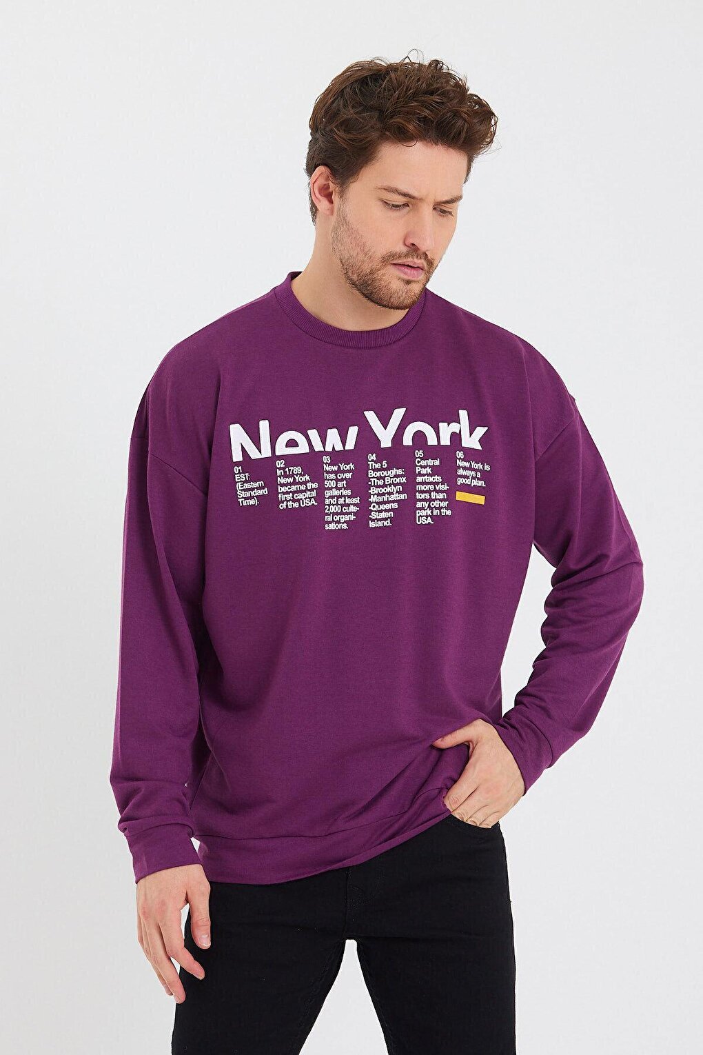 Men's Crew Neck Oversize Fit New York Printed Thin Sweatshirt SPR23SW332