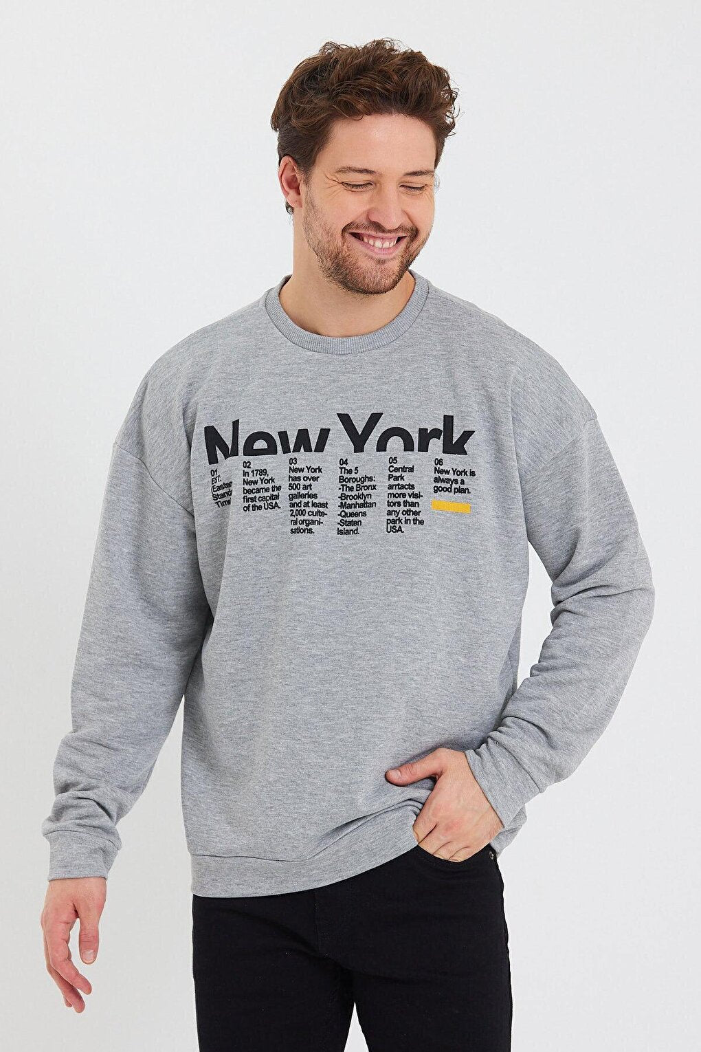 Men's Crew Neck Oversize Fit New York Printed Thin Sweatshirt SPR23SW332