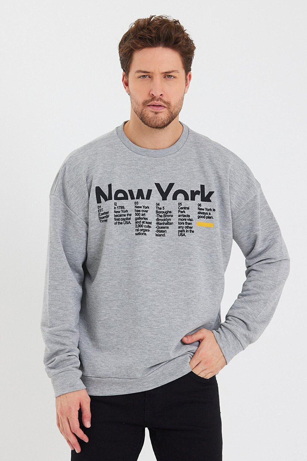 Men's Crew Neck Oversize Fit New York Printed Thin Sweatshirt SPR23SW332