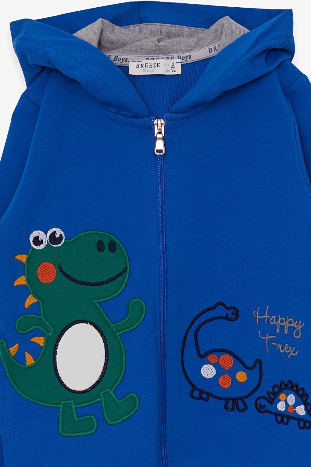 Baby Boy Tracksuit Set, Happy Dinosaur Printed, Saks Blue (Age 2)