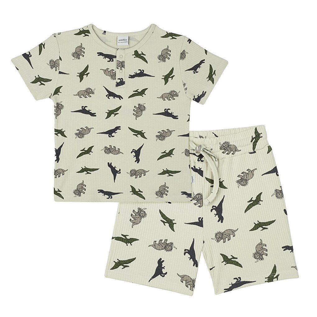 Adventure of Dinosaurs Pajama Set with Shorts