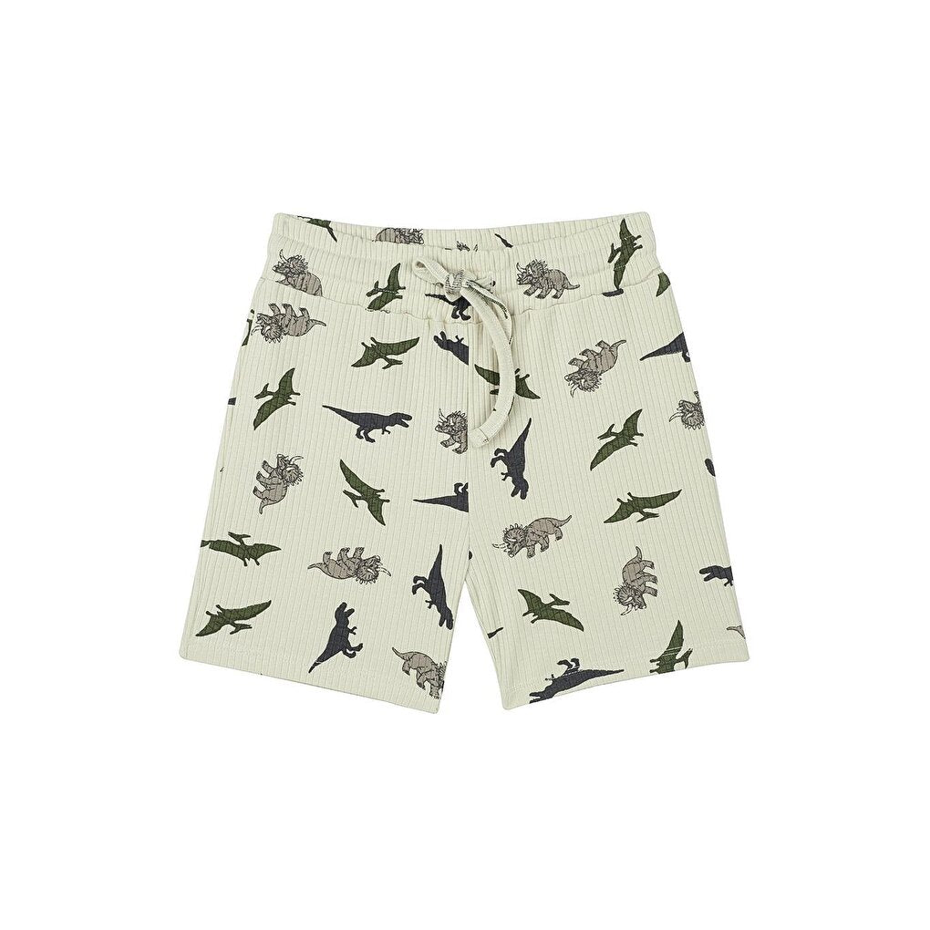 Adventure of Dinosaurs Pajama Set with Shorts