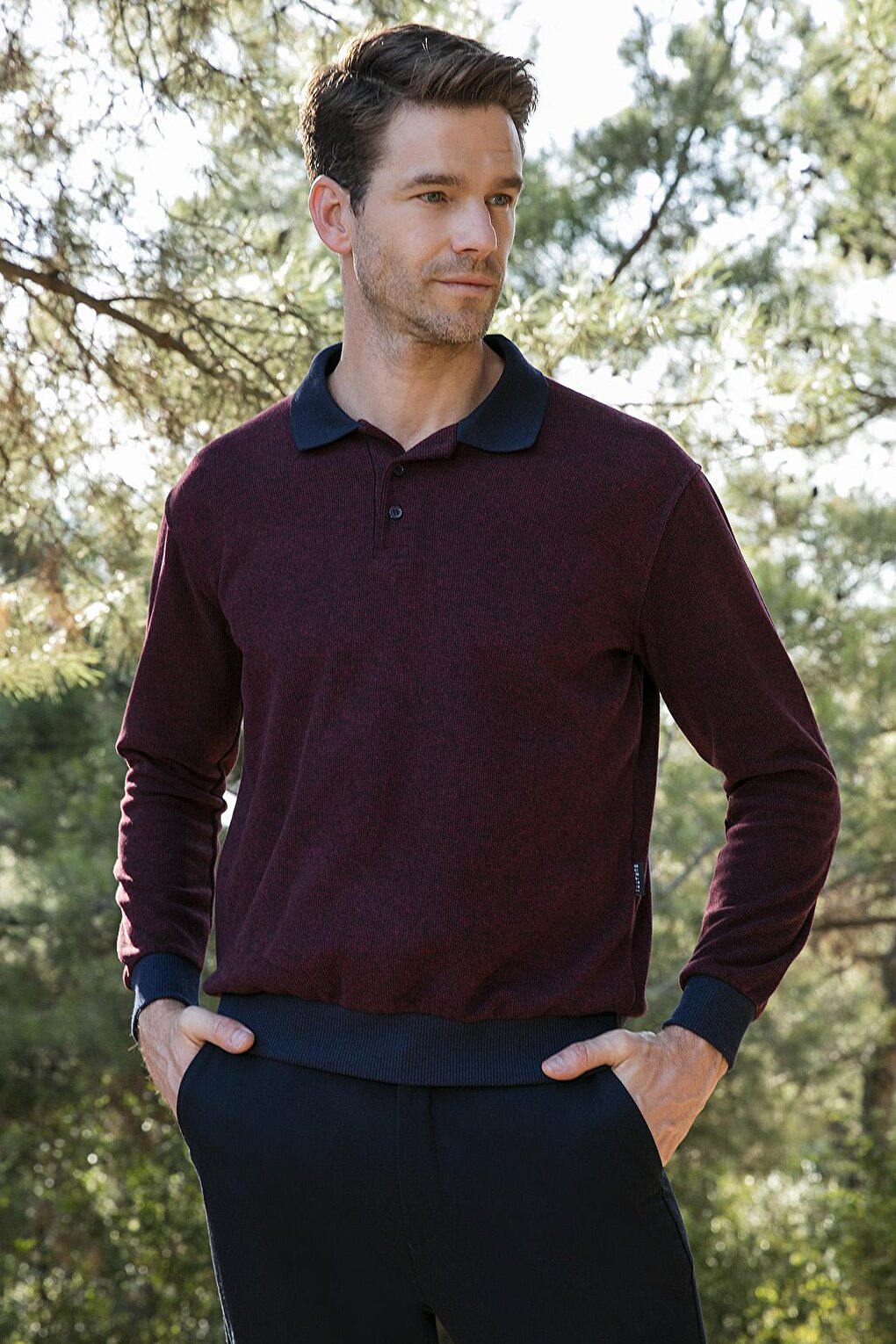 Cotton Regular Fit Buttoned Polo Neck Sweater 456211