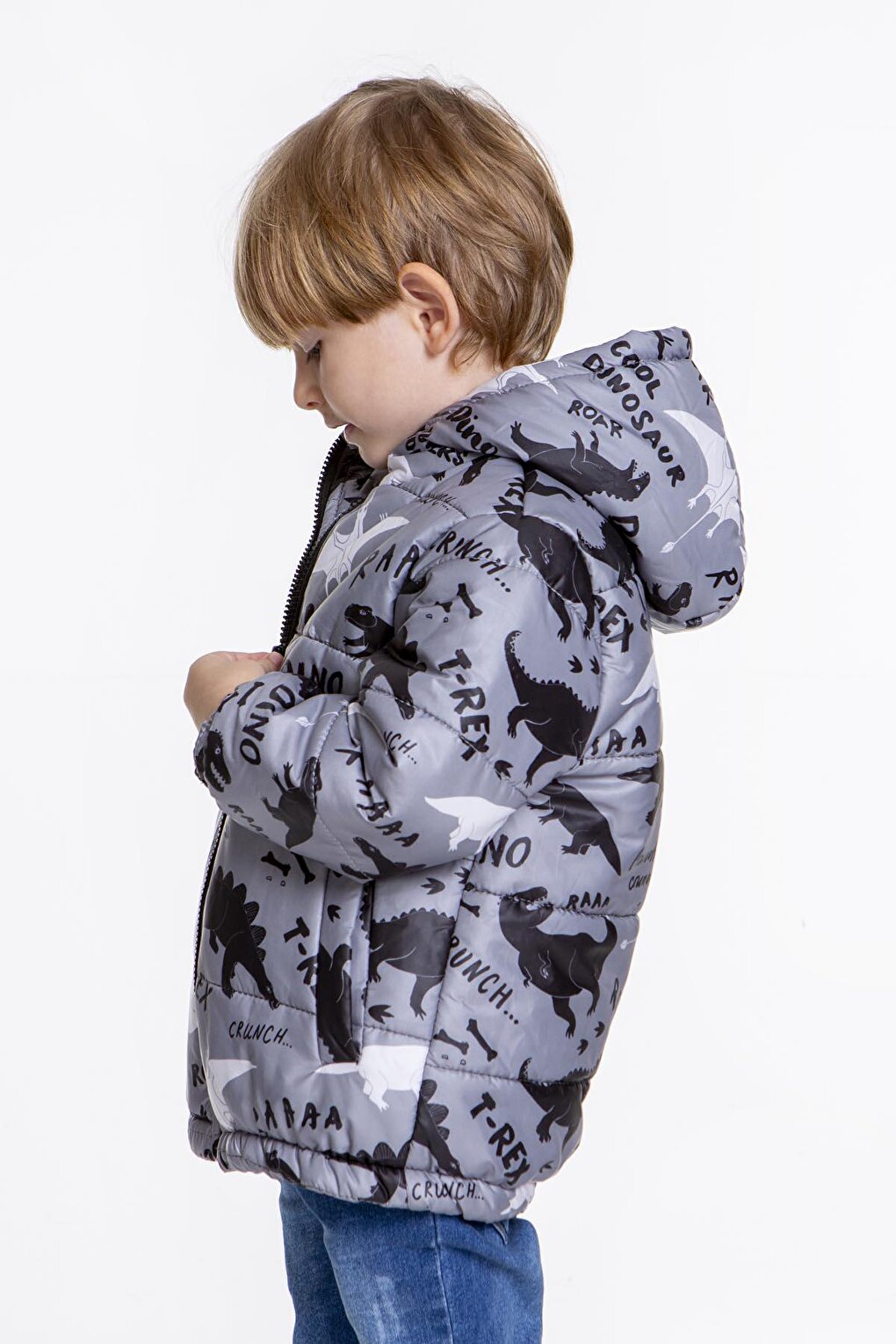 Kids Boy's Coat with Welsoft Inside Dinosaur Patterned Hat AK2509