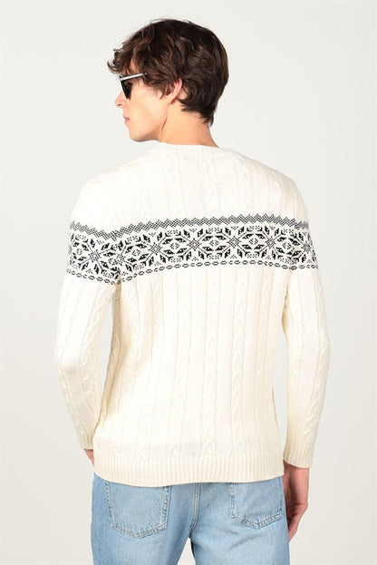 Slim Fit Crew Neck Patterned Men's Sweater